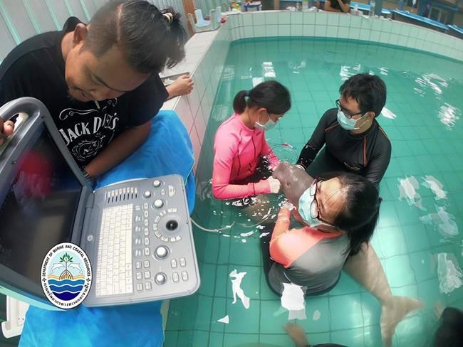 Young dugong dies in Thailand in blow for vulnerable species | iNFOnews.ca Young dugong dies in Thailand in blow for vulnerable species | iNFOnews.ca