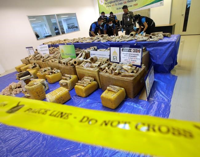 Thailand seizes 422 pieces of smuggled elephant tusks | iNFOnews.ca