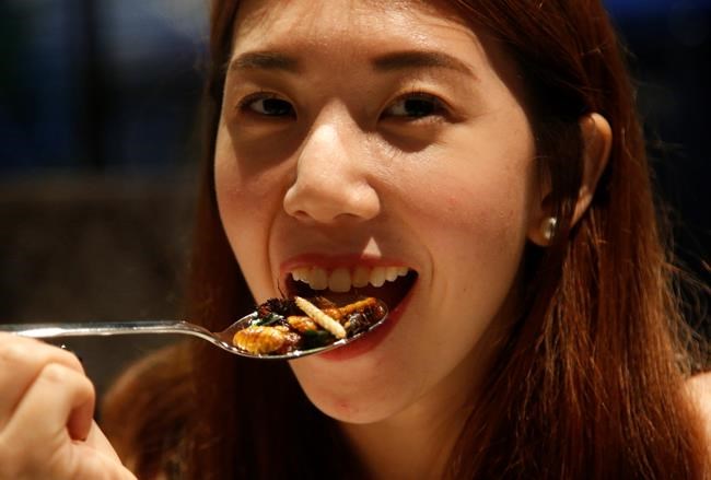 Bugs are in the food by design at Bangkok fine-dining bistro | iNFOnews.ca