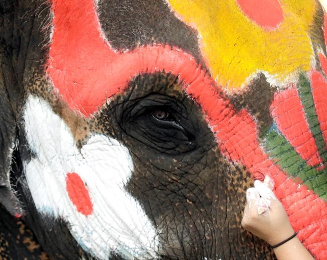 Elephants soak passers-by ahead of boisterous Thai holiday | iNFOnews.ca