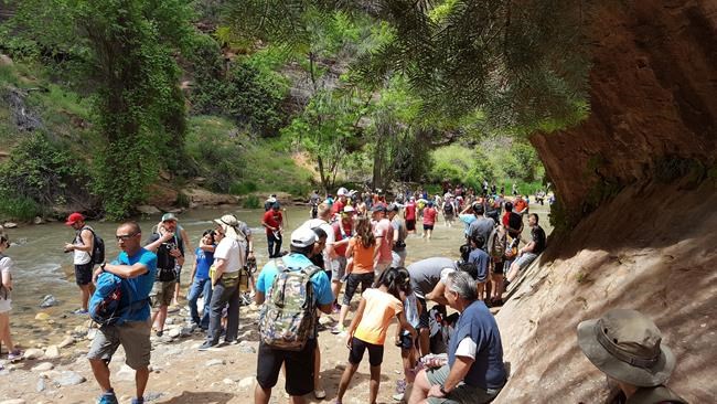 Check in to get away: Zion park aims to require reservations | iNFOnews.ca