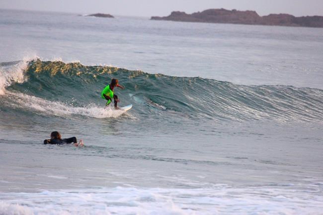 Young Aussie surfer photo bombed by shark that shared wave | iNFOnews.ca