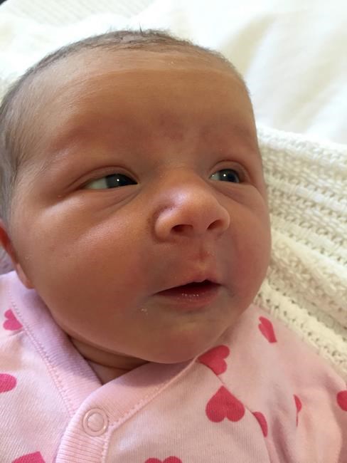 Australian couple whose 3 children died on MH17 welcome baby | iNFOnews.ca