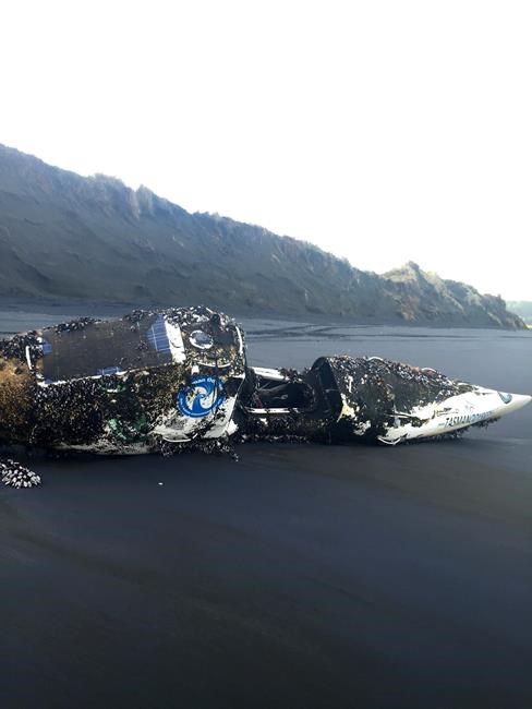 Kayak completes solo voyage from Australia to New Zealand | iNFOnews.ca Kayak completes solo voyage from Australia to New Zealand | iNFOnews.ca