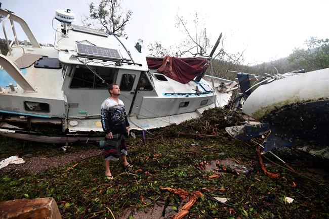 Sharknado? Australian cyclone leaves behind shark in puddle | iNFOnews.ca CP201896916