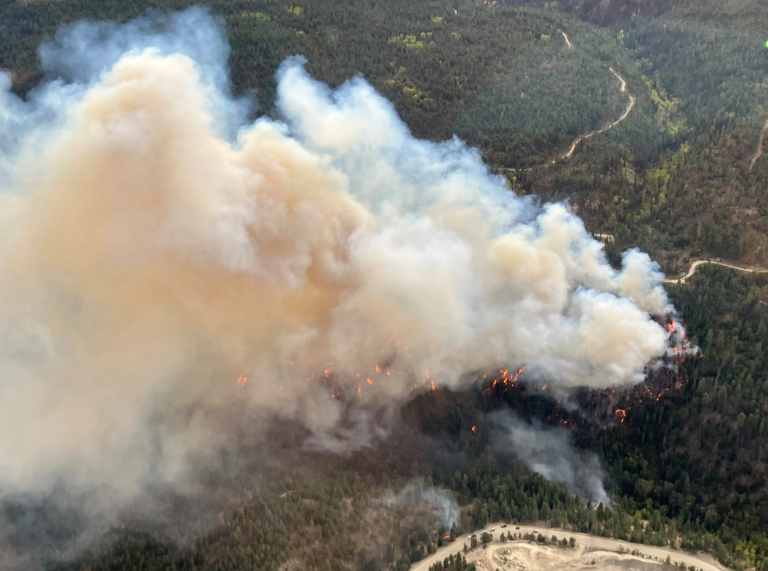 Smoke and flames in the woods near Peachland during the Munro Lake Wildfire