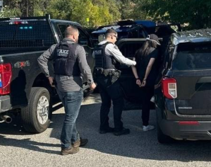 Two police officers putting someone in handcuffs into a vehicle.