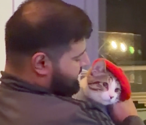 A cat wearing a beret.