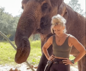 An elephant holding a stick in front of a woman laughing.
