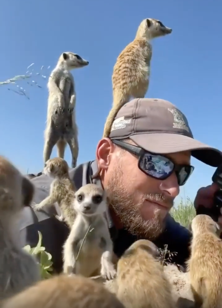 TRENDING NOW: Nature photographer becomes part of nature | iNFOnews.ca