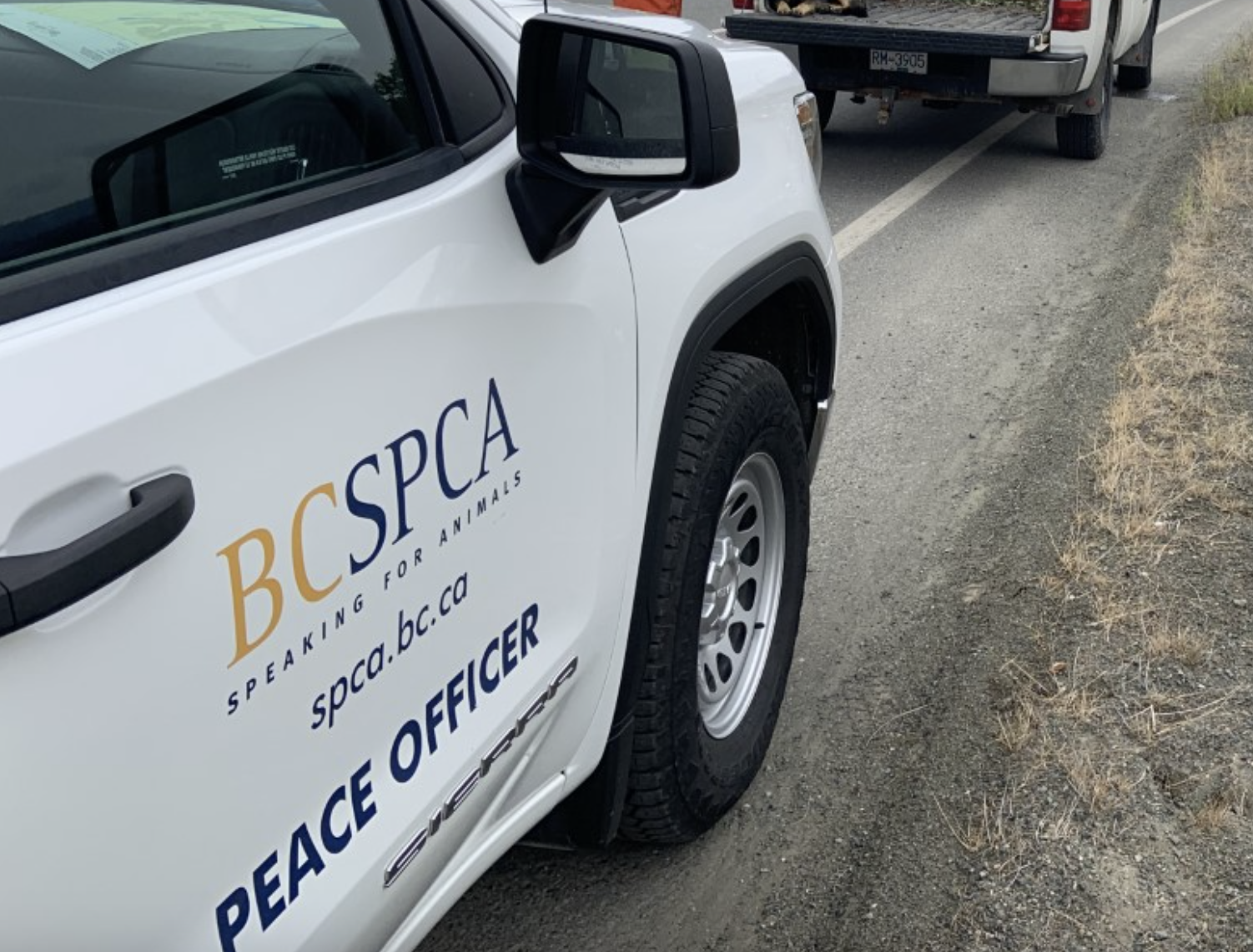 A BC SPCA animal protection officer vehicle.
