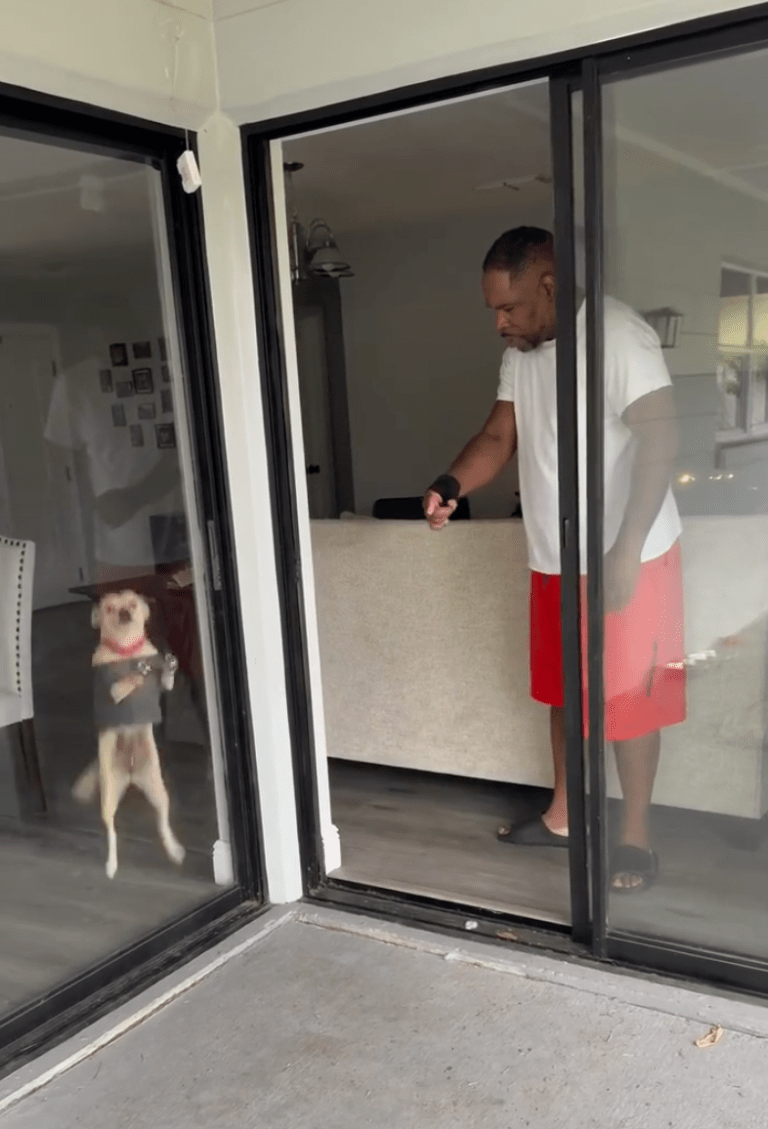 TRENDING NOW: Pup just doesn't get it | iNFOnews.ca