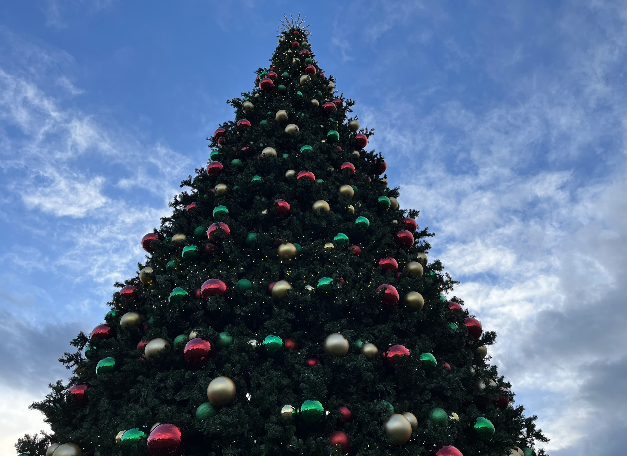 An upshot of a 40-foot Christmas tree.