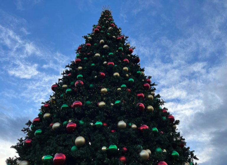 An upshot of a 40-foot Christmas tree.