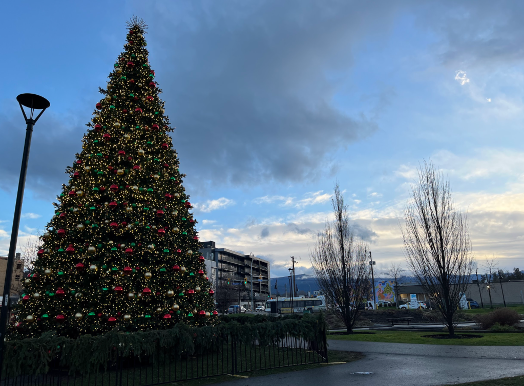 Kelowna’s $256,000 Christmas trees were under budget | iNFOnews.ca Kelowna’s $256,000 Christmas trees were under budget | iNFOnews.ca