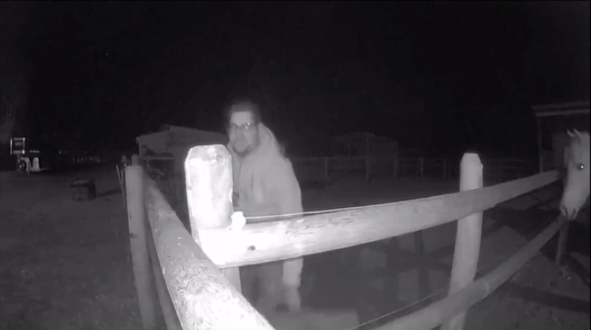 A CCTV image of man in a horse pen.