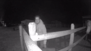 A CCTV image of man in a horse pen.