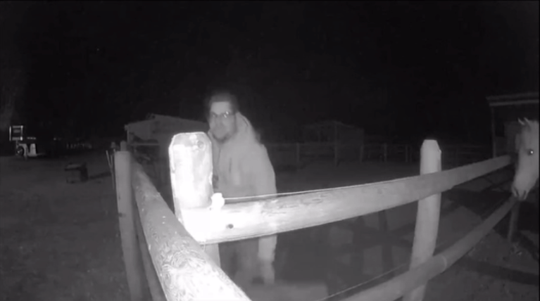 A CCTV image of man in a horse pen.