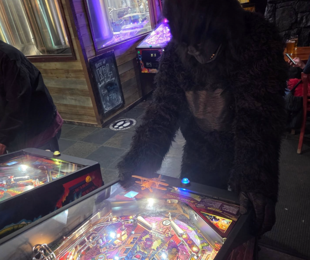 Kamloops pinballers brought their machines together so people can play for free | iNFOnews.ca