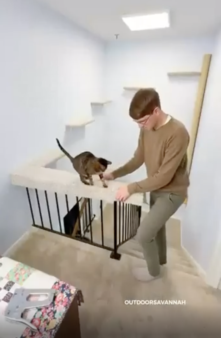 TRENDING NOW: Guy customized his house for his cat | iNFOnews.ca