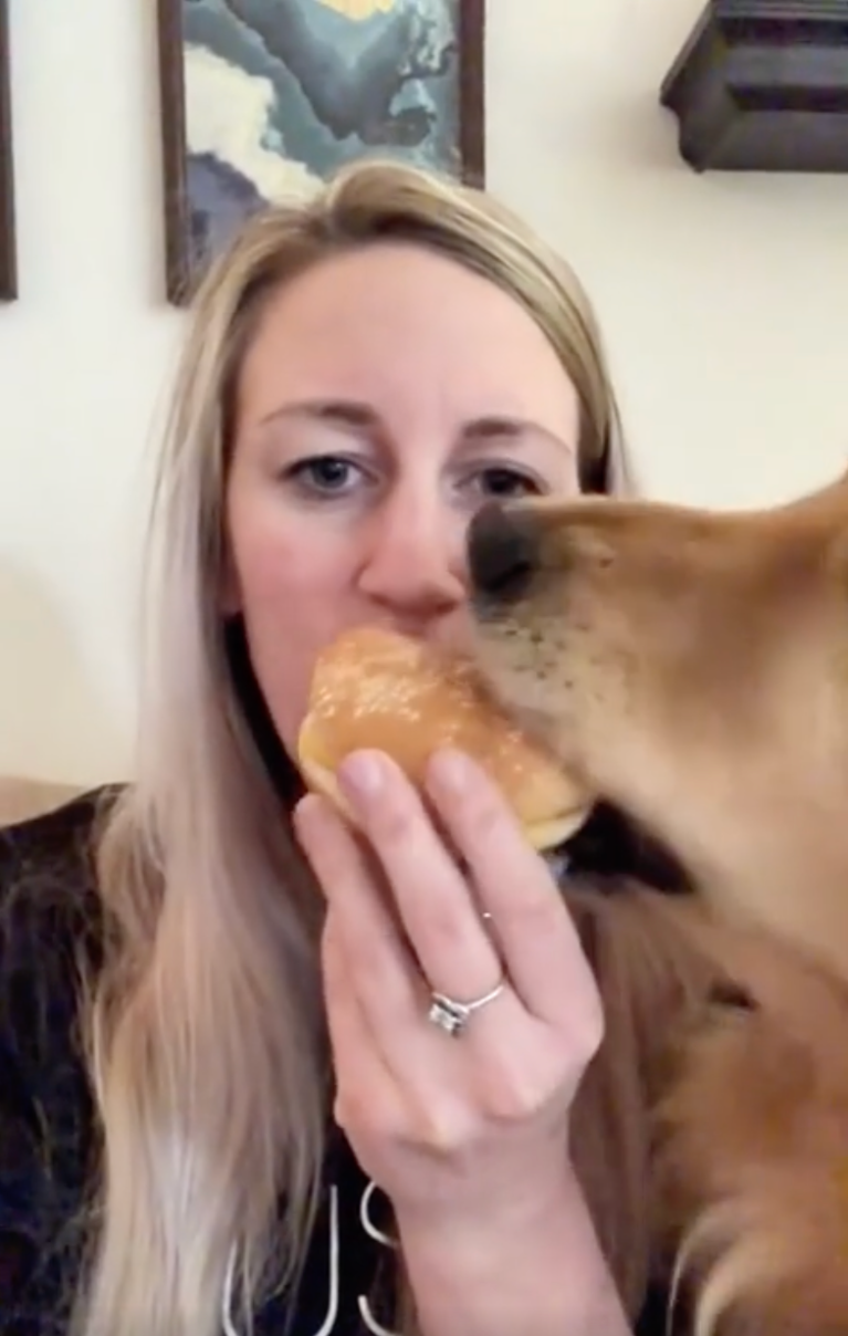 TRENDING NOW: Dogs stealing food | iNFOnews.ca