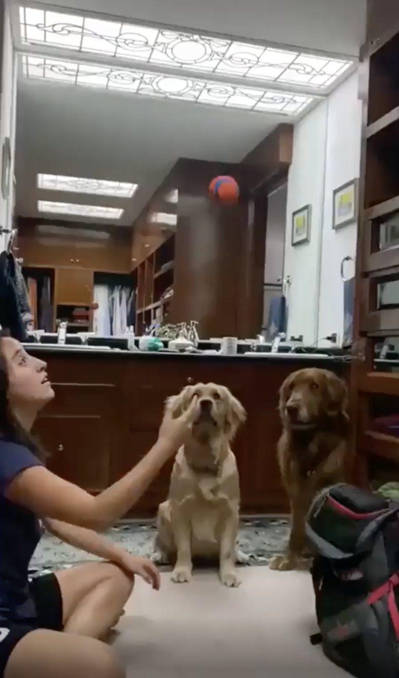 TRENDING NOW: The disappearing ball trick never fails | iNFOnews.ca