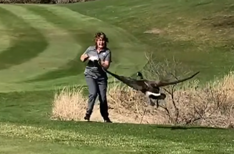 TRENDING NOW: Humans failing with animals | iNFOnews.ca