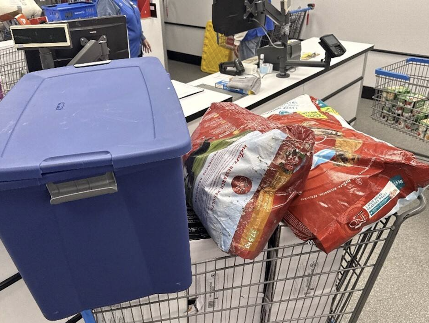 Items in a grocery buggy.