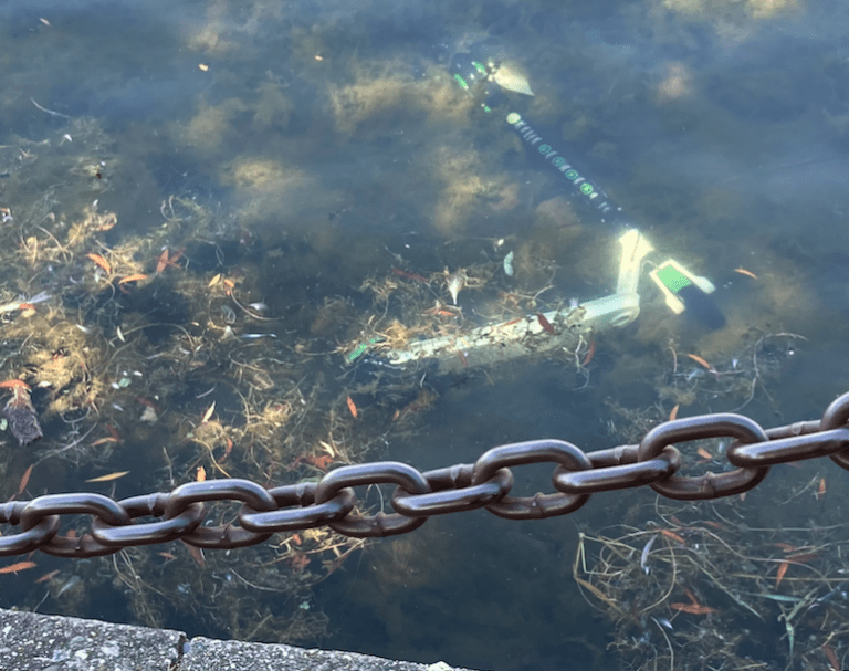 A rentable e-scooter is seen underwater in a lake.