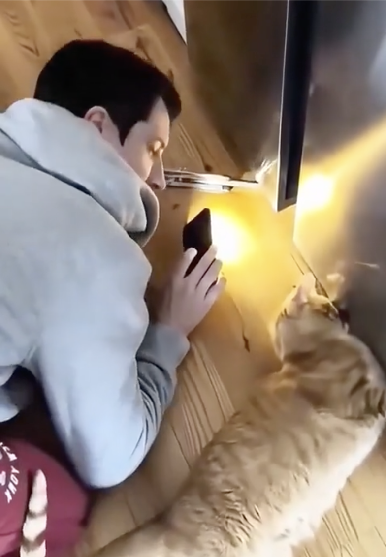 TRENDING NOW: Apparently cats can be handy | iNFOnews.ca