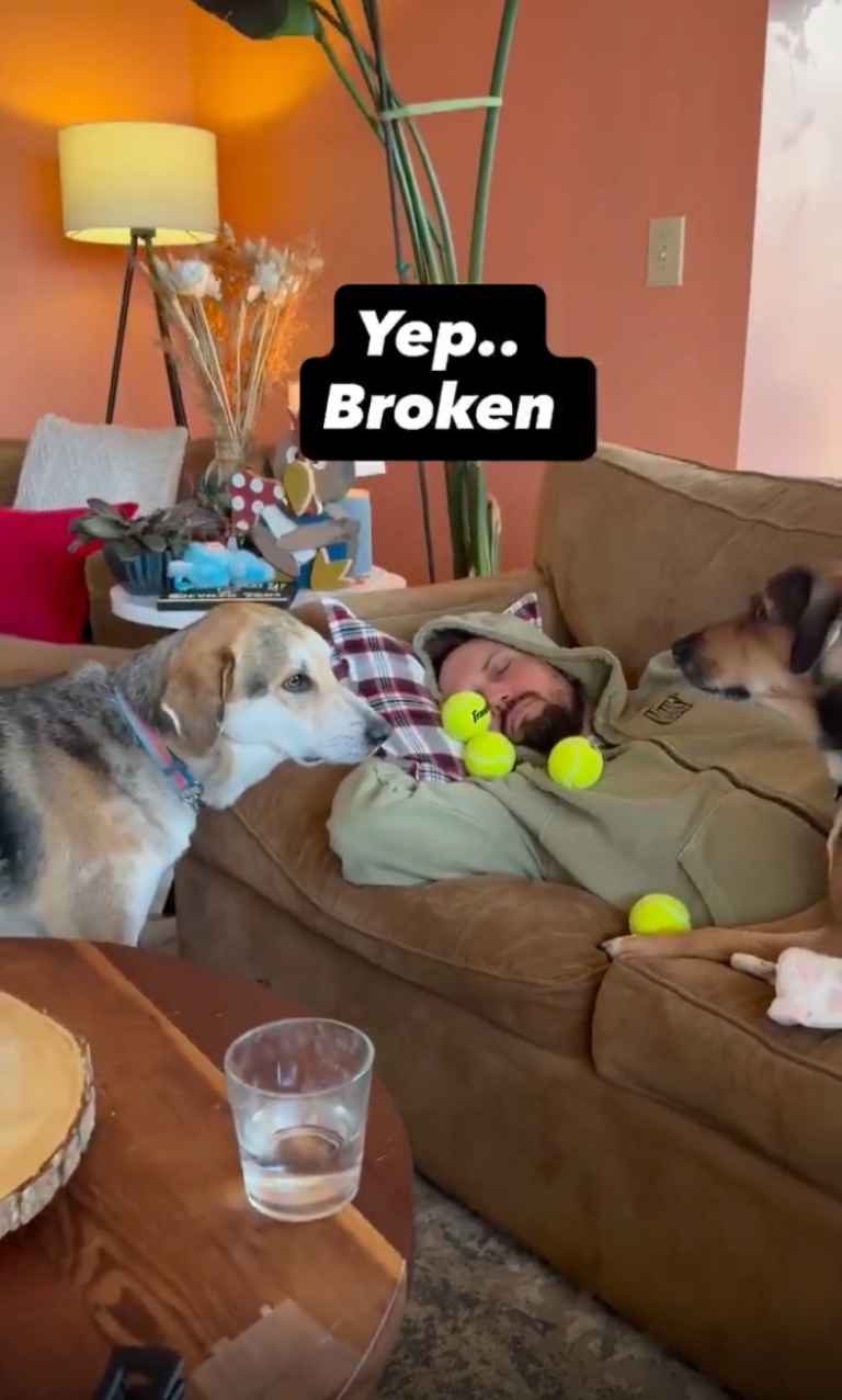 TRENDING NOW: Dogs' ball thrower is broken | iNFOnews.ca
