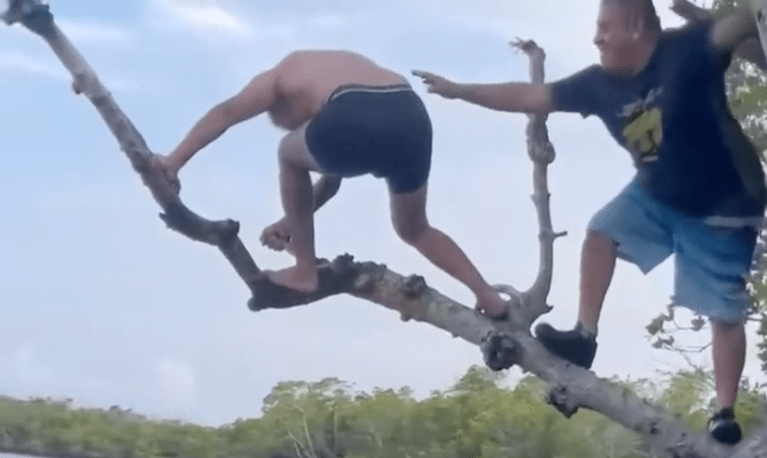 TRENDING NOW: Prank in a tree over a river | iNFOnews.ca