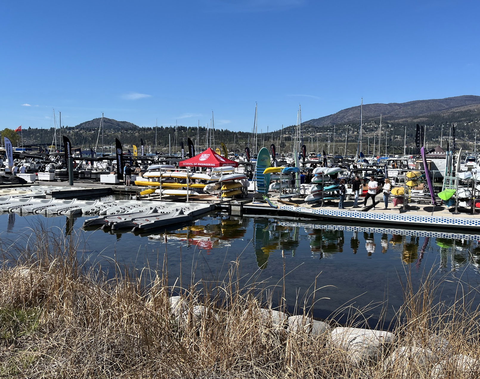 Boats tied up at the Kelowna Marine.