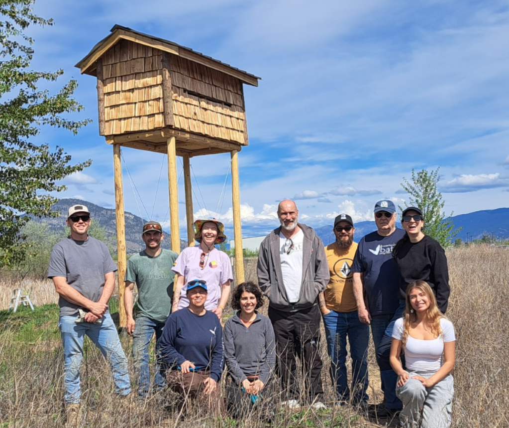 iN NUMBERS: Penticton’s bat condo ready for roosting season | iNFOnews.ca