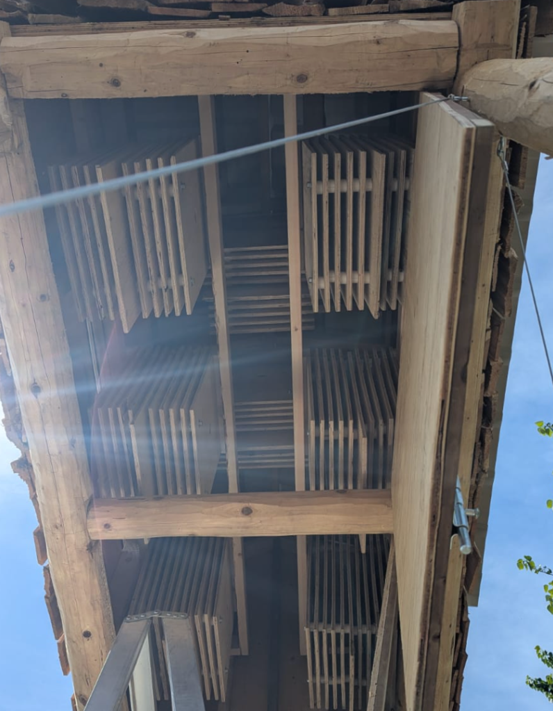 iN NUMBERS: Penticton’s bat condo ready for roosting season | iNFOnews.ca