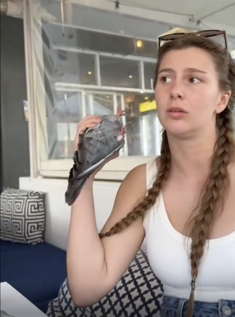 TRENDING NOW: Pigeon phone the latest fad | iNFOnews.ca