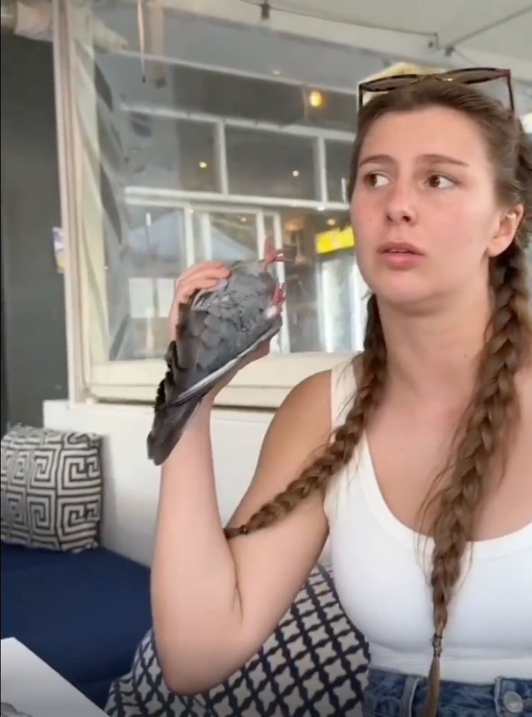 TRENDING NOW: Pigeon phone the latest fad | iNFOnews.ca
