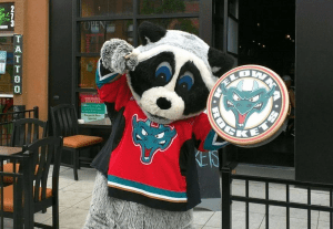 Kelowna Rockets' mascot Rocky the Raccoon.