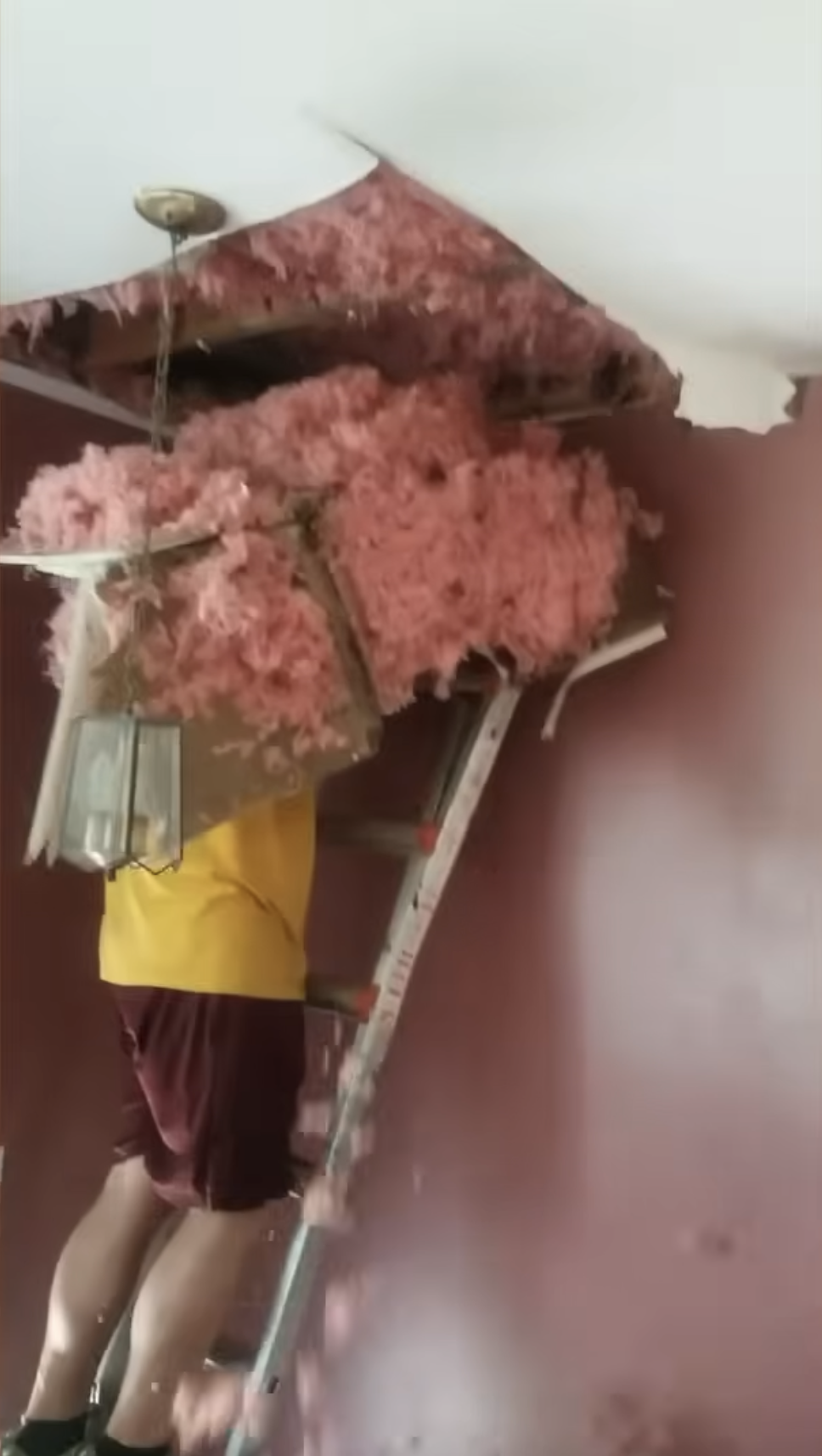 TRENDING NOW: Epic do-it-yourself fails | iNFOnews.ca