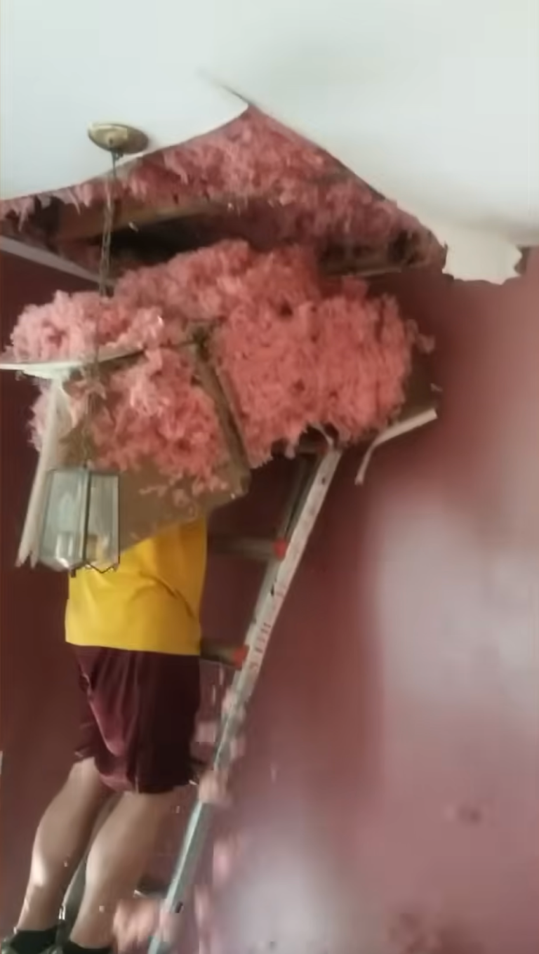 TRENDING NOW: Epic do-it-yourself fails | iNFOnews.ca
