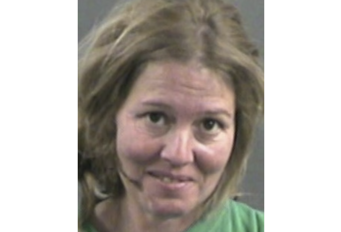 A headshot of a 45 year old woman with shoulder length hair.