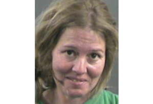 A headshot of a 45 year old woman with shoulder length hair.