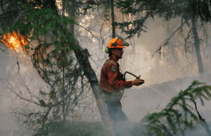 A BC Wildfire Service worker sprays a hose in a burning forest.