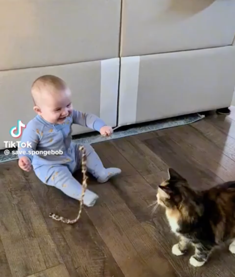 TRENDING NOW: How to entertain a baby (or a cat) | iNFOnews.ca