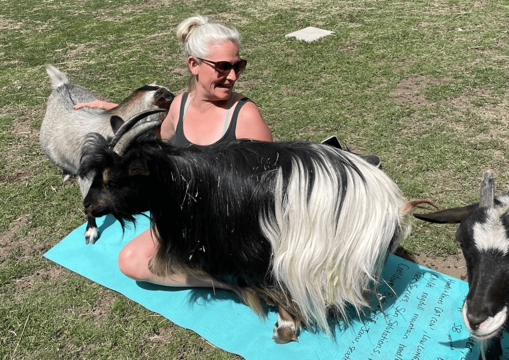 iN PHOTOS: Just kiddin' around at goat yoga in Penticton | iNFOnews.ca iN PHOTOS: Just kiddin' around at goat yoga in Penticton | iNFOnews.ca