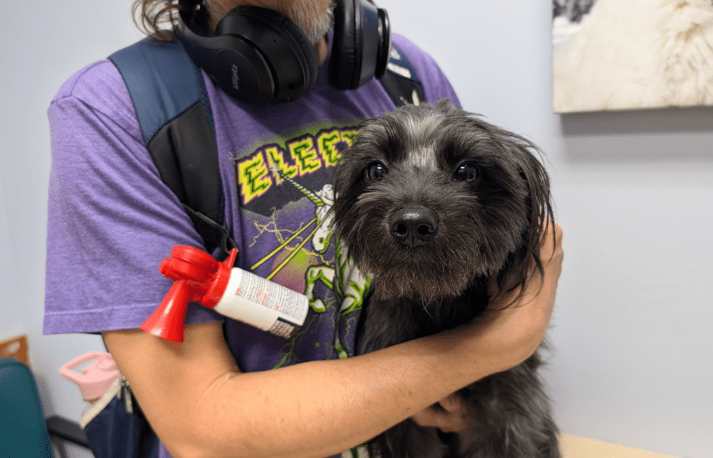 Free Penticton pop-up pet vaccine clinic helps 31 dogs | iNFOnews.ca Free Penticton pop-up pet vaccine clinic helps 31 dogs | iNFOnews.ca