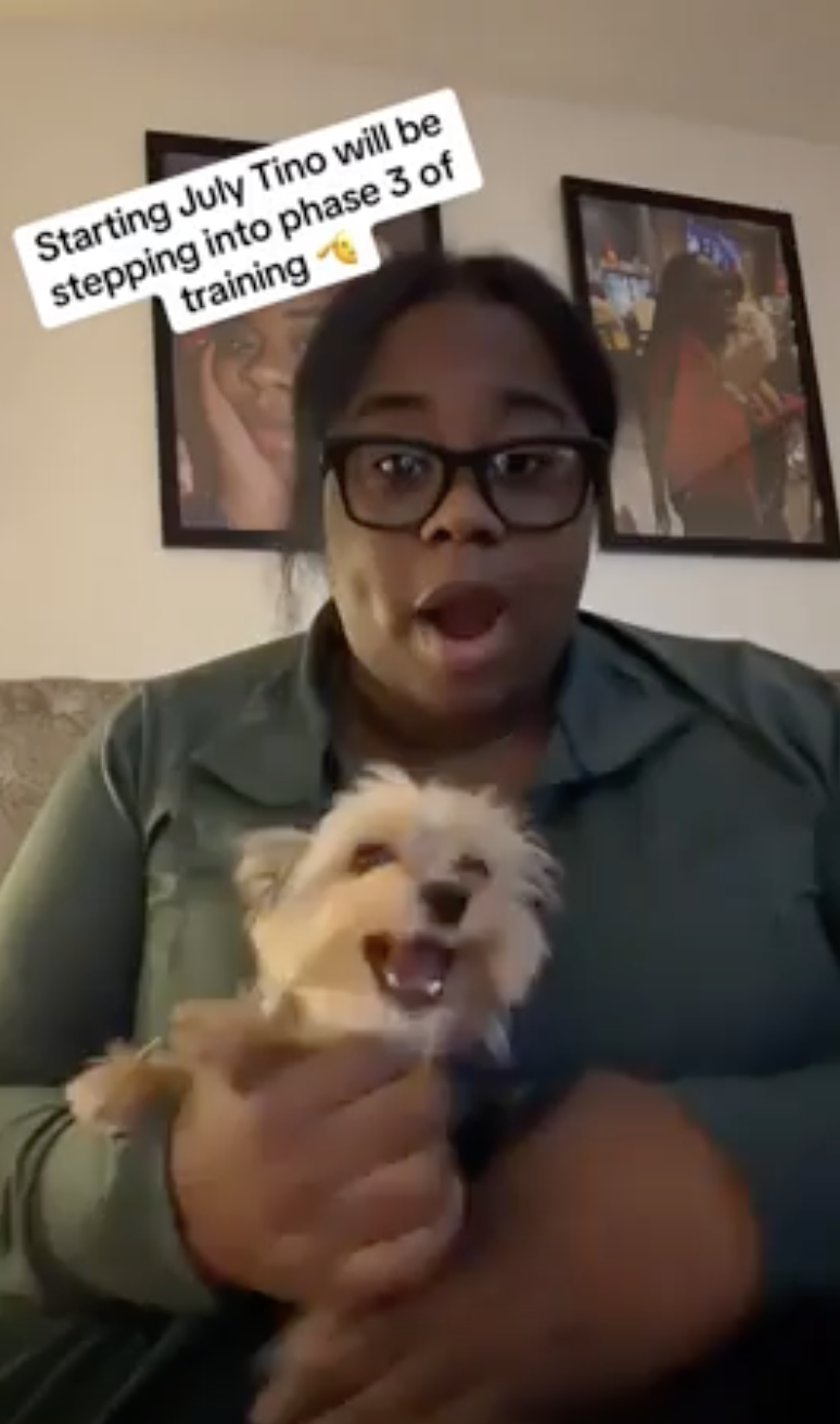 TRENDING NOW: Dog trainer’s worst pupil