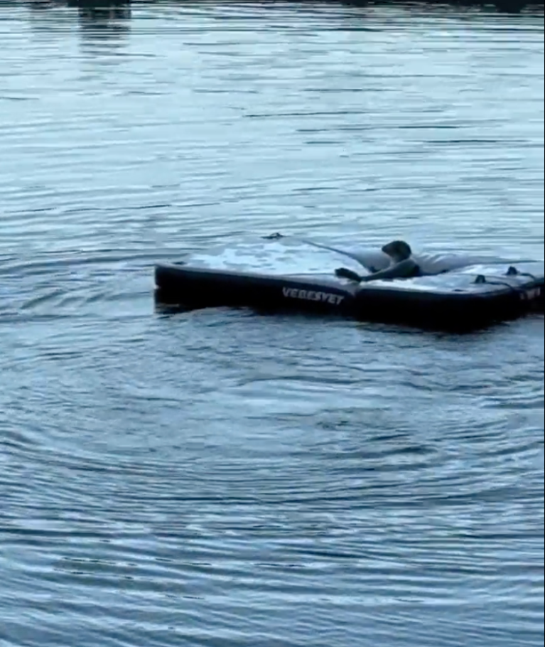 TRENDING NOW: Seal living it's best life | iNFOnews.ca