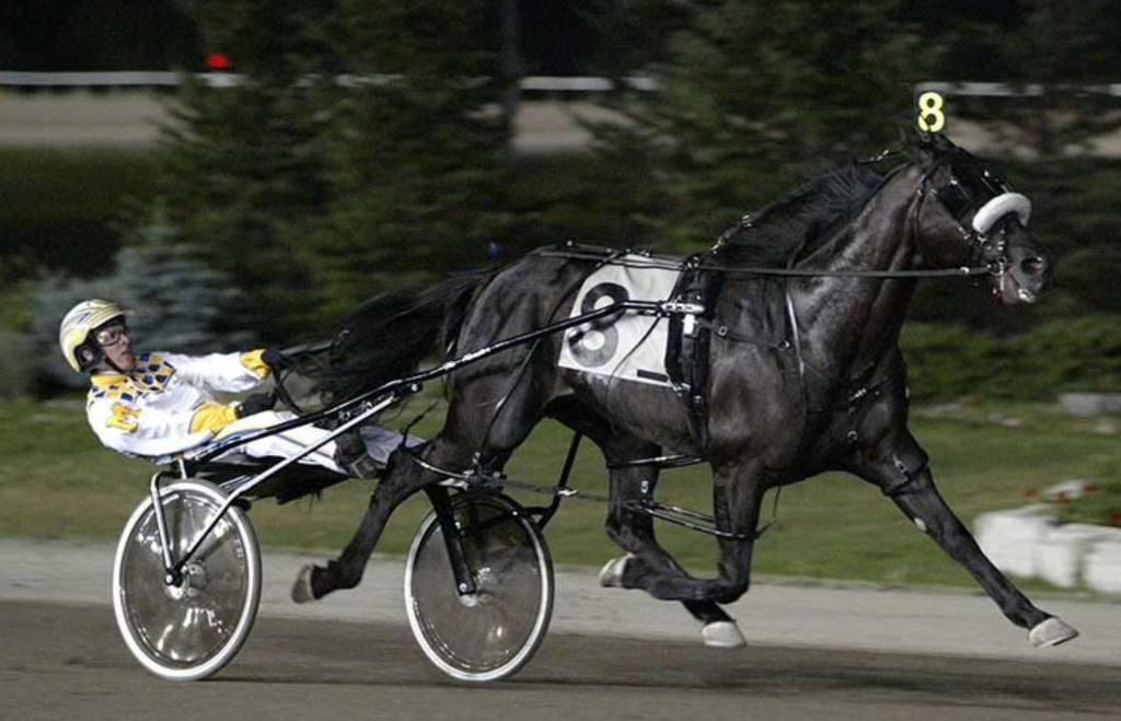 'Only game in town': Osoyoos track set to revive horse racing in B.C. | iNFOnews.ca 'Only game in town': Osoyoos track set to revive horse racing in B.C. | iNFOnews.ca
