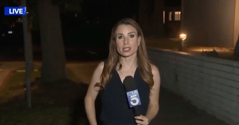 TRENDING NOW: Cockroach lands on reporter during live broadcast | iNFOnews.ca